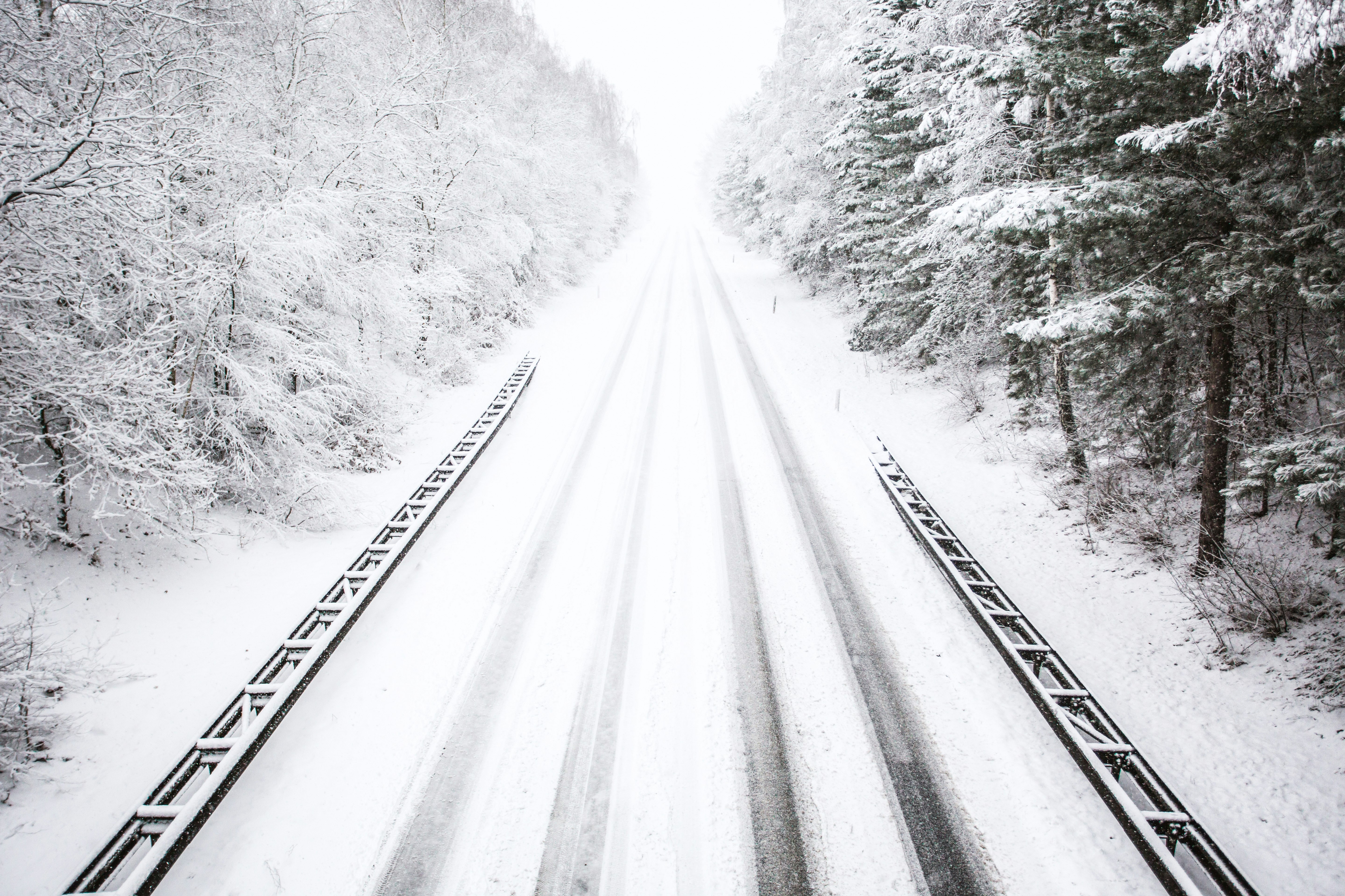 snow trail during daytime